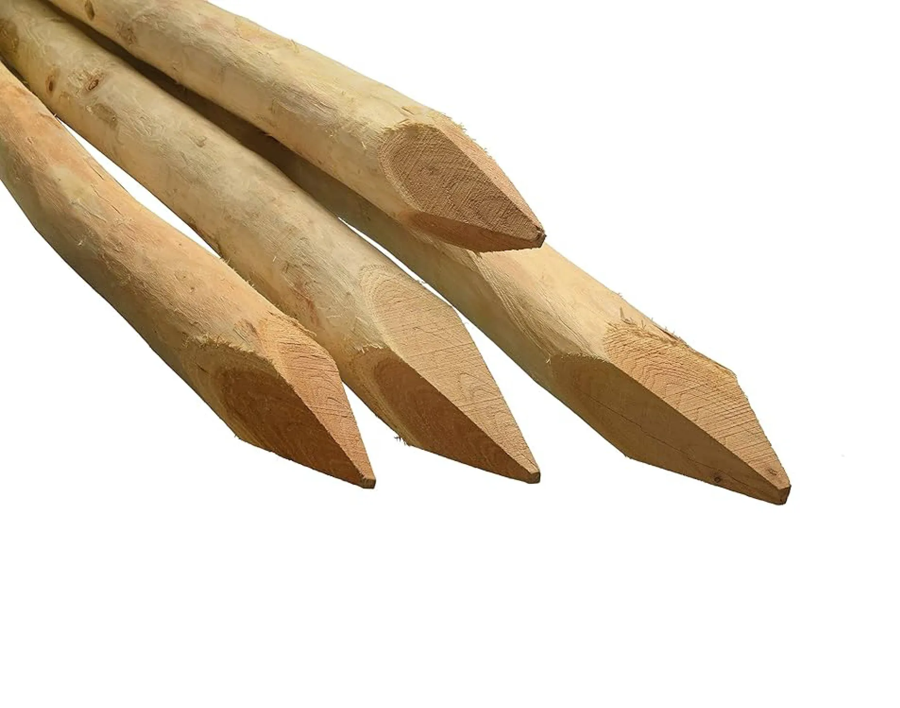 \\192.168.40.8\ShopImport\Bilder Shop\11 - Holz im Garten\Z&auml;une\110200800791_Rundpf&auml;hle_Akazie_1500mm\110200800791_Rundpf&auml;hle_Akazie_1500mm.jpg