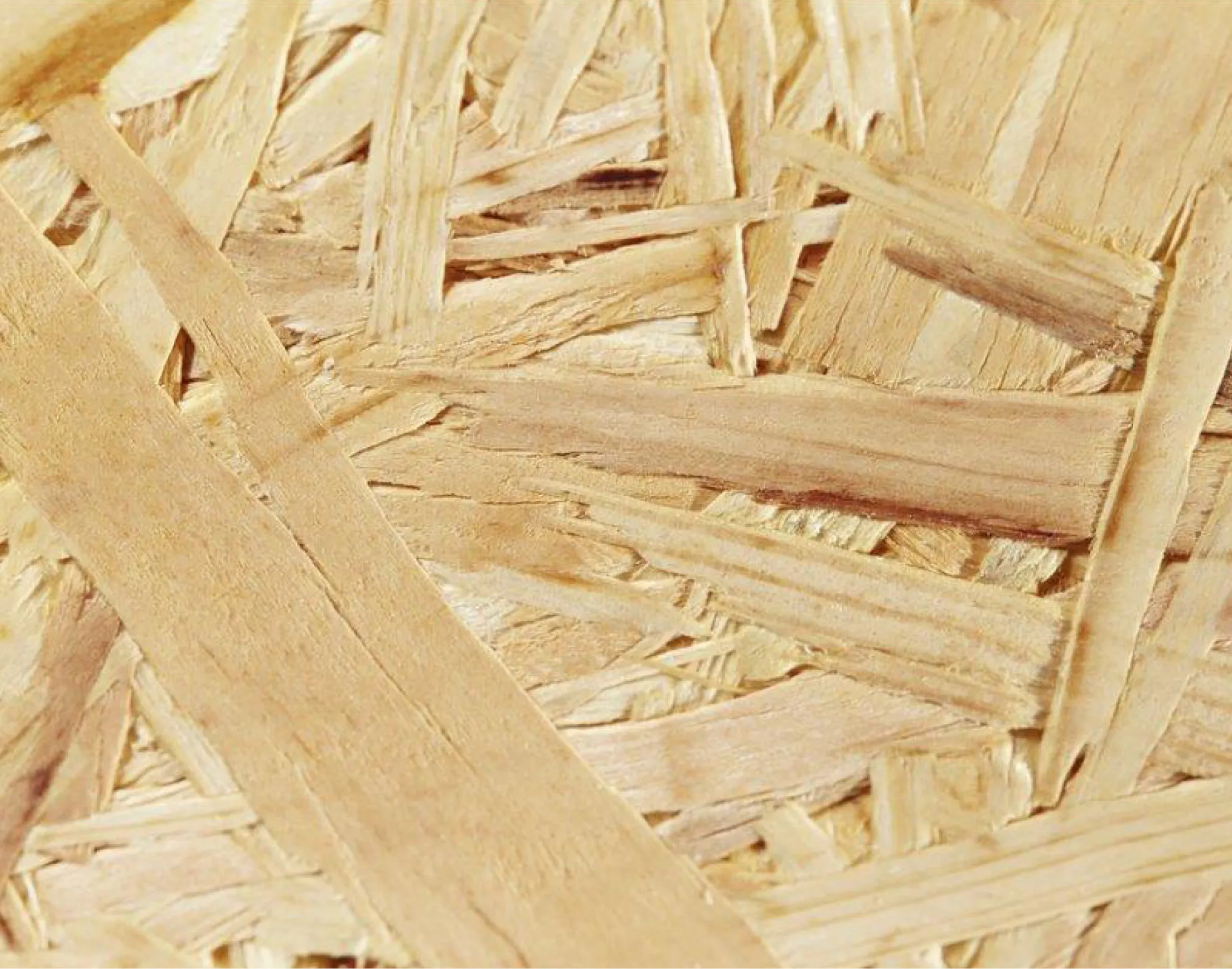 OSB 3 Platten, contifinish, 15 mm